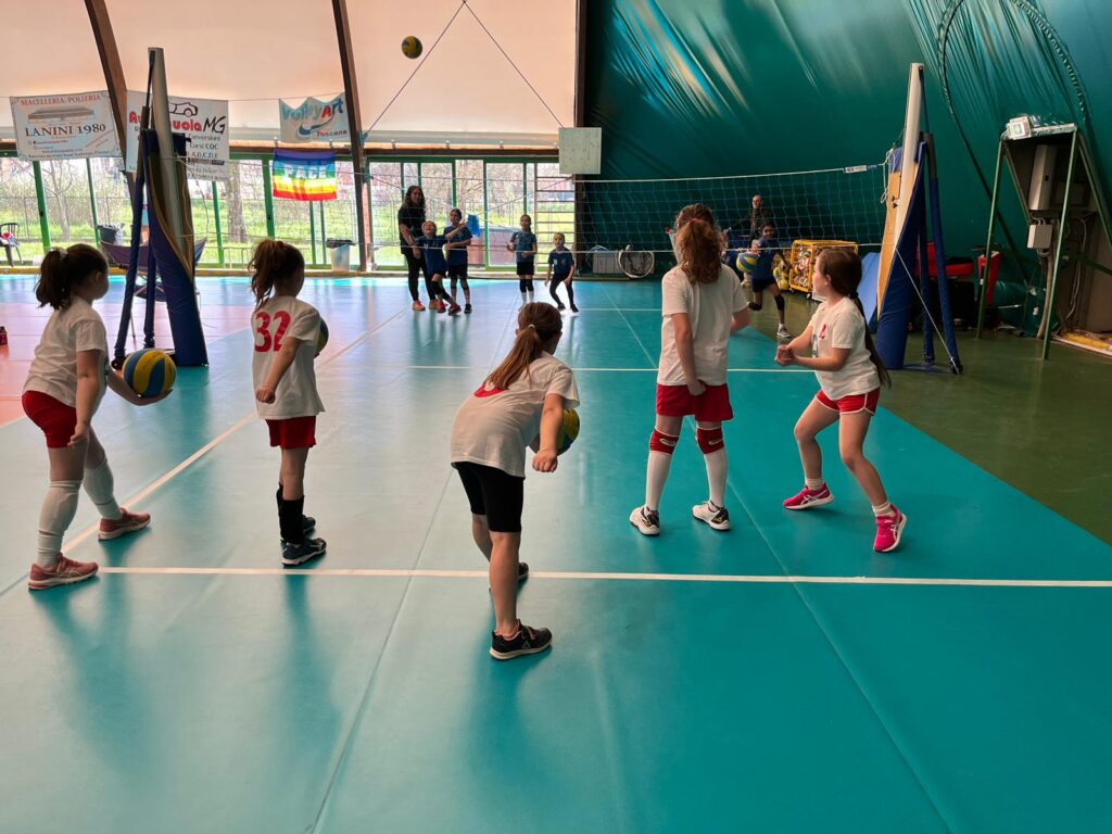 MInivolley